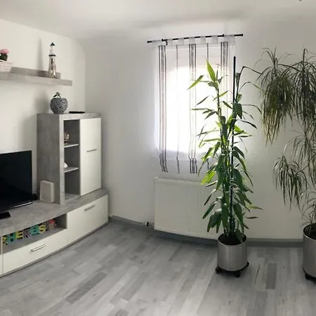 3-zimmer Nahe Stadtzentrum Bodensee 1-4 Personen Apartment