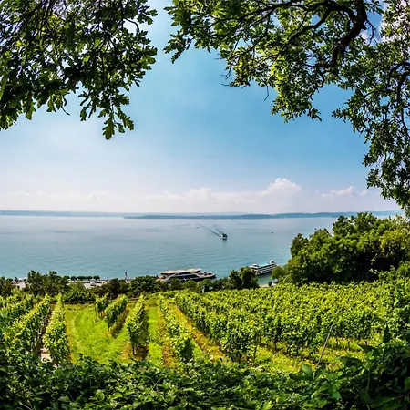 3-zimmer Nahe Stadtzentrum Bodensee 1-4 Personen *